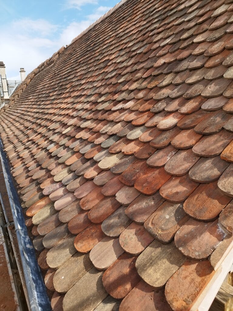 Toiture en tavaillons Bieberschwanz restaurée par Hamm Traditions d'Alsace
